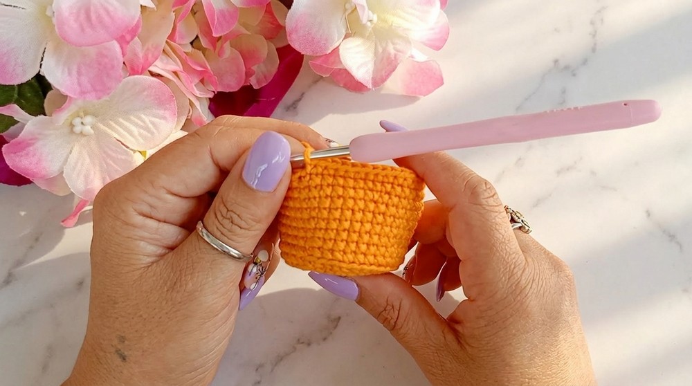 Crochet Cactus Amigurumi Pattern 3