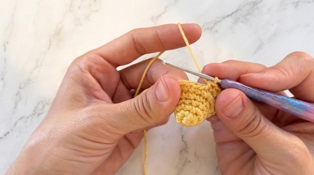 Cute Crochet Flounder Fish Pattern 2