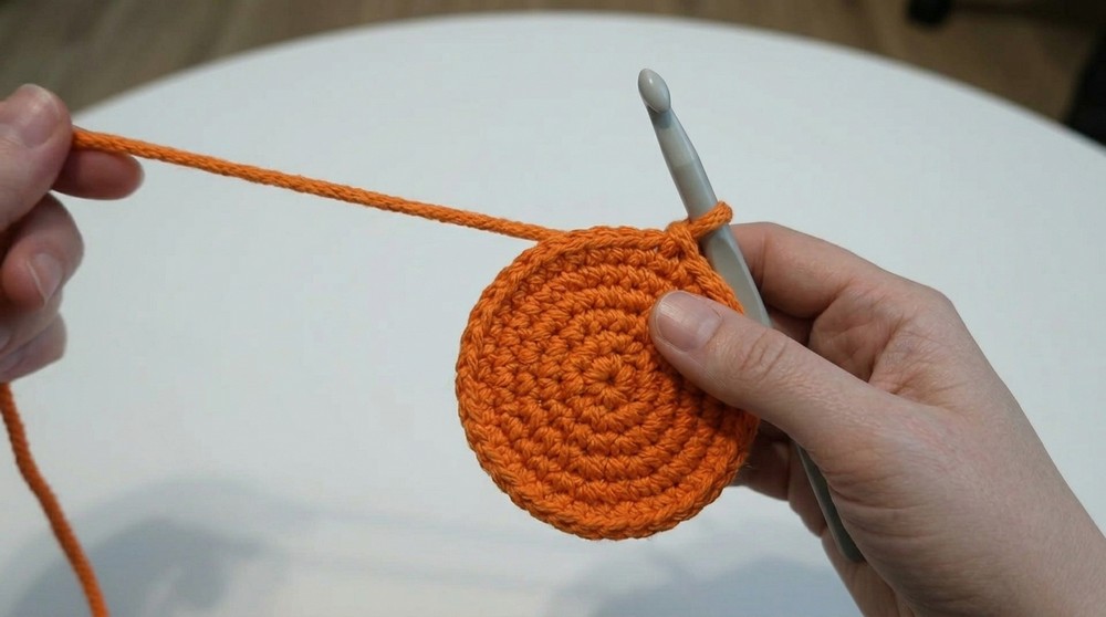 You can make them in one evening! Crochet round placemats step by step 4