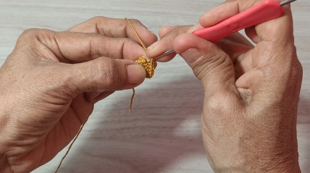 How to Crochet a GeckoLizard Pattern (2)
