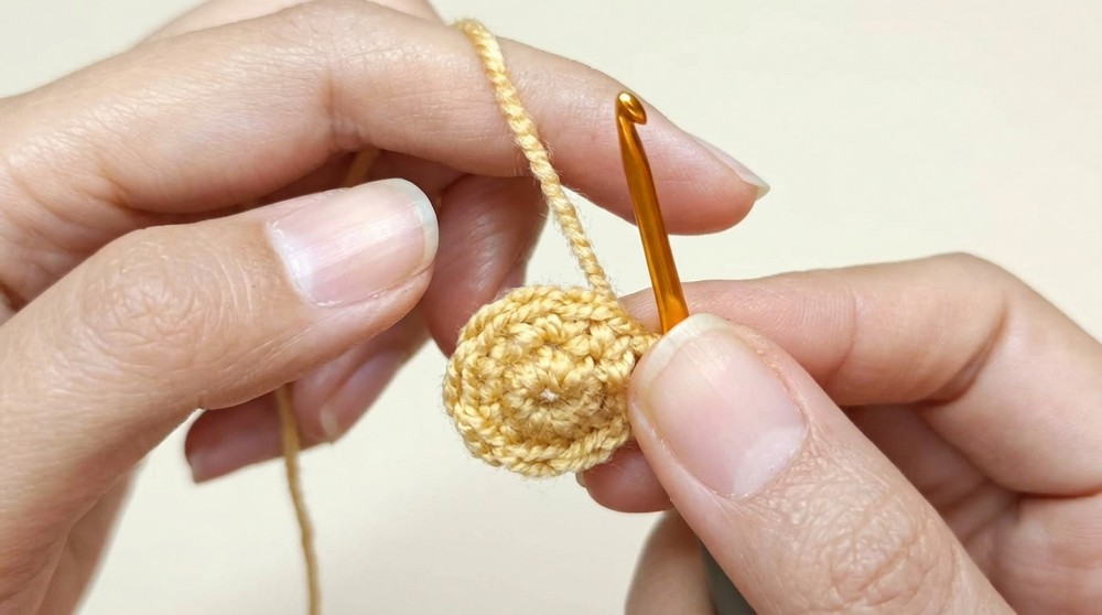 Simple no-sew Fish Crochet keychain Tutorial