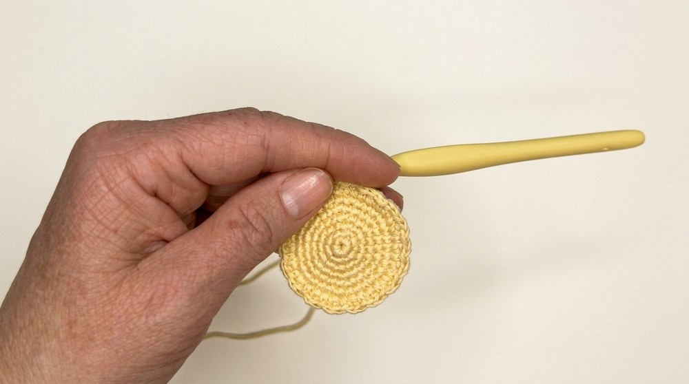 How to Crochet a Colombian Empanada Tray with Ají 
