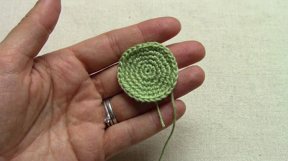 How to Crochet a Turtle Amigurumi Pattern